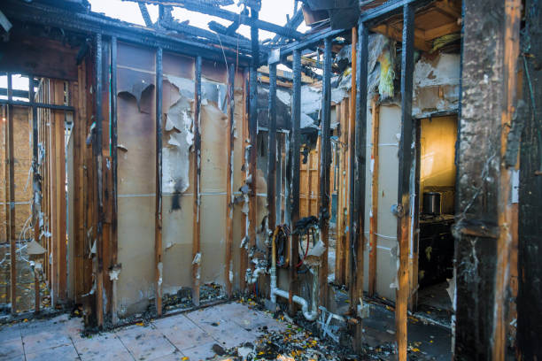 Professional Fire Damage Removal technician working in Burnt Store Marina, FL